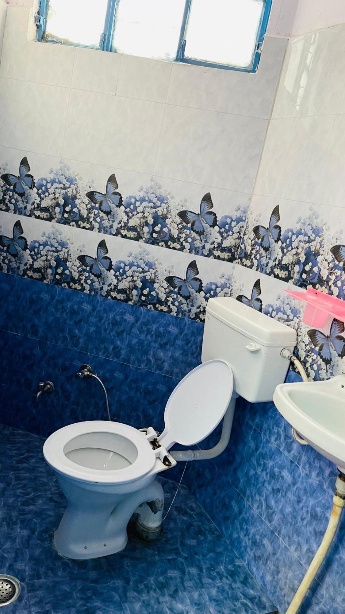 Mayur Guest House Pushkar Zewnętrze zdjęcie